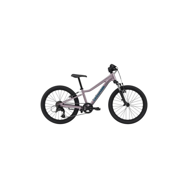 Cannondale Trail 20