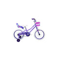 Radius Pixie 16